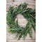 24” Iced Garden Norfolk Pine Wreath Elegant Frosted Holiday Decoration